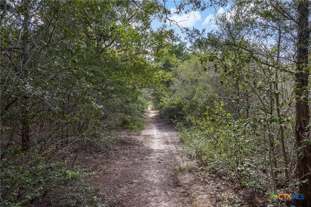 46.23 acres in Caldwell County - photo 30