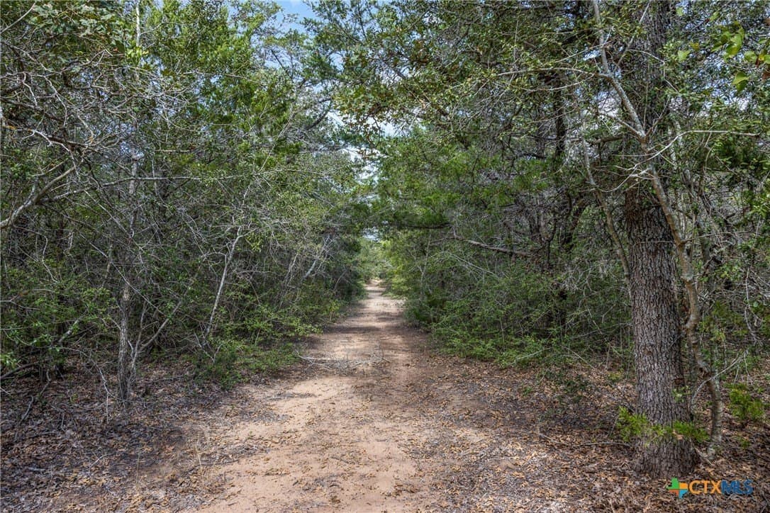 46.23 acres in Caldwell County - photo 29