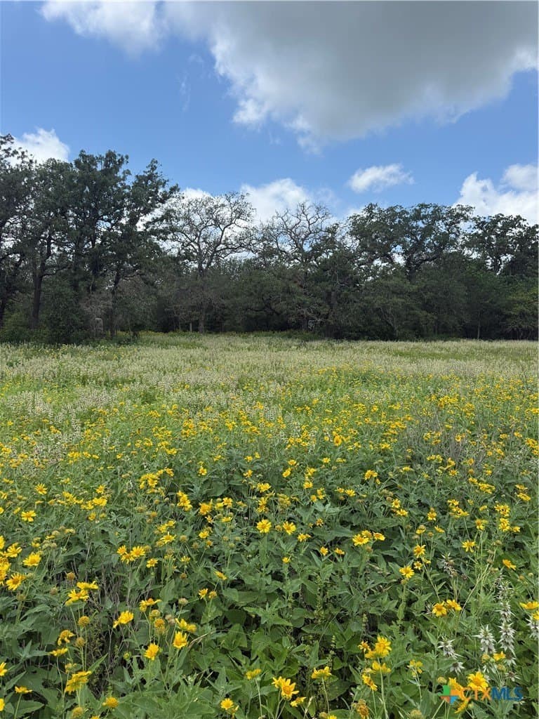 46.23 acres in Caldwell County - photo 35