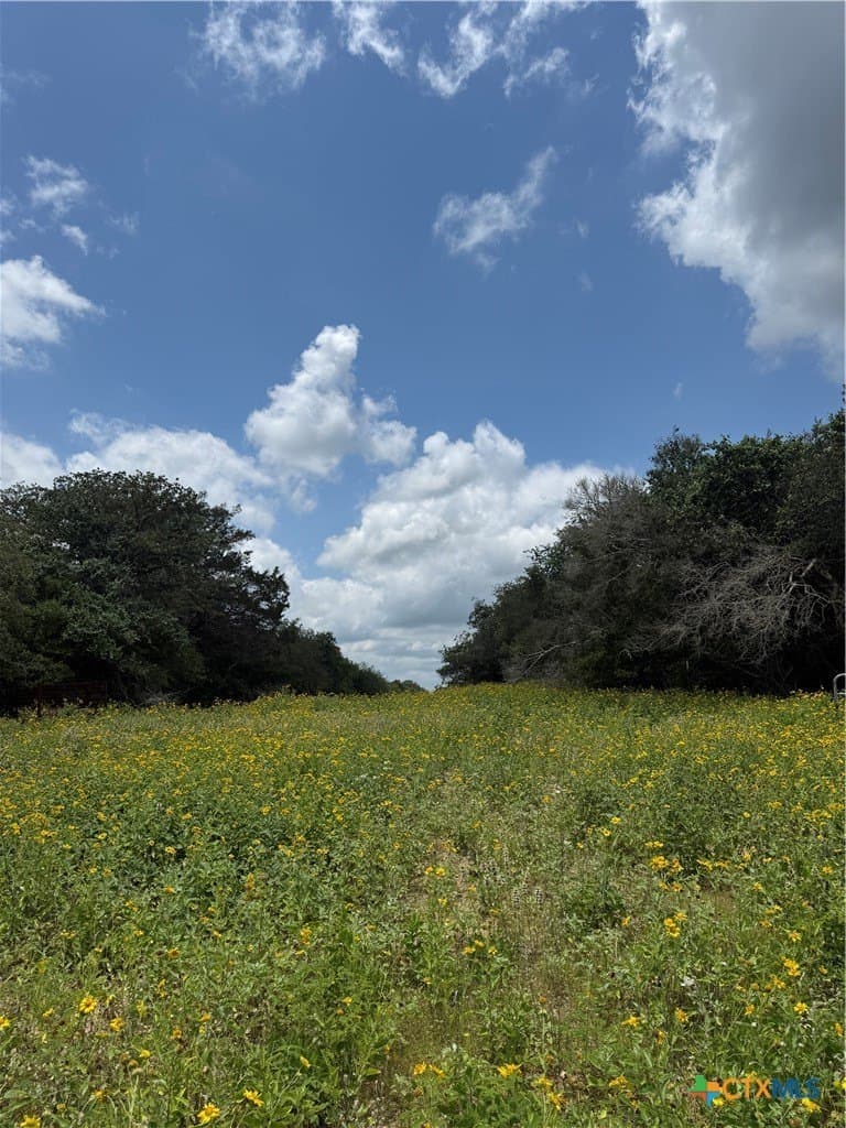 46.23 acres in Caldwell County - photo 6