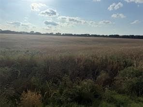 252.81 acres in Fannin County - photo 9