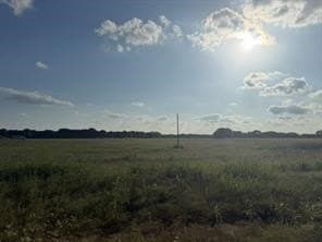 252.81 acres in Fannin County - photo 2