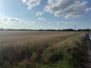 252.81 acres in Fannin County - photo 5
