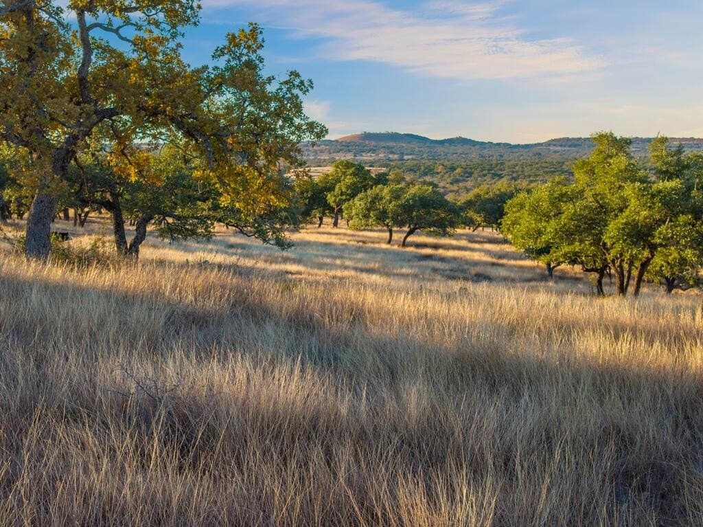 171.73 acres in Gillespie County - photo 15