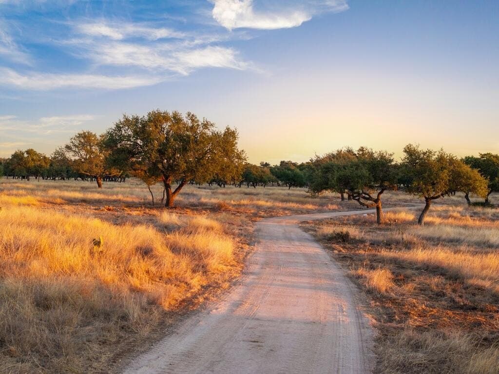 171.73 acres in Gillespie County - photo 17