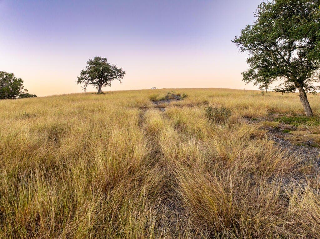 171.73 acres in Gillespie County - photo 19