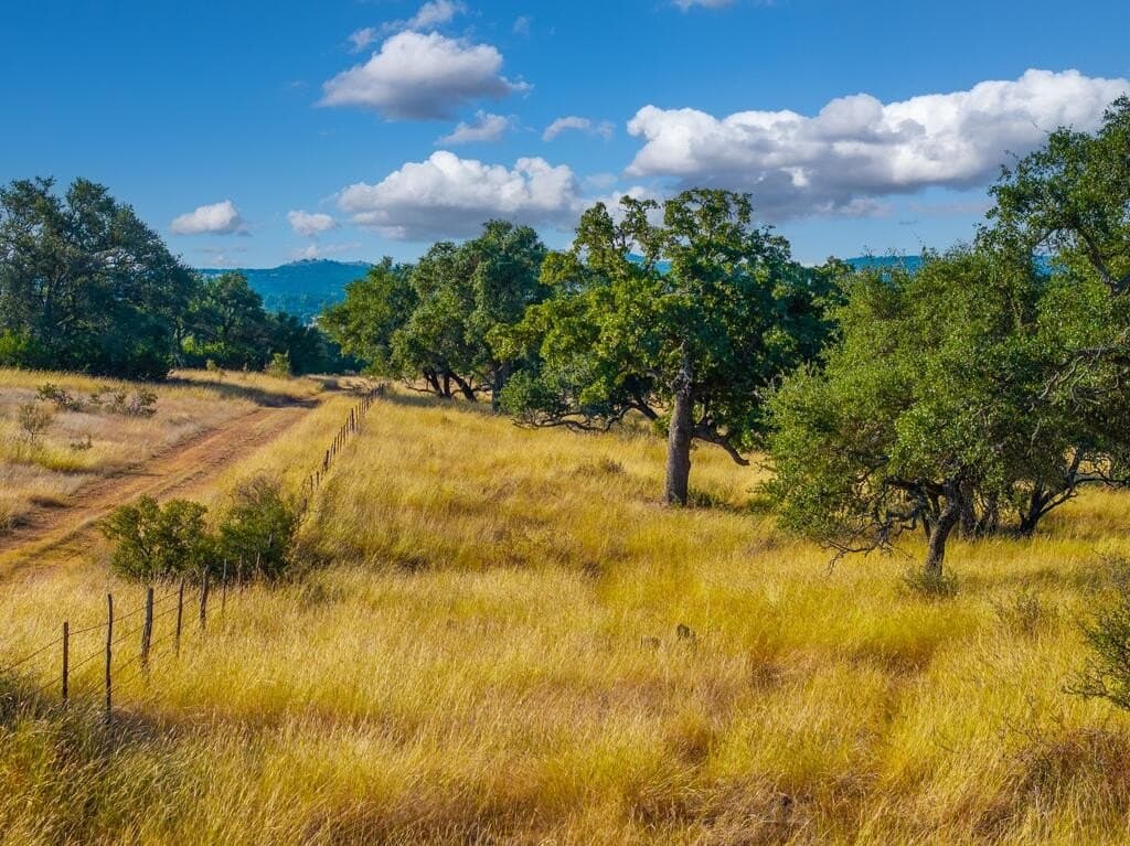 171.73 acres in Gillespie County - photo 21