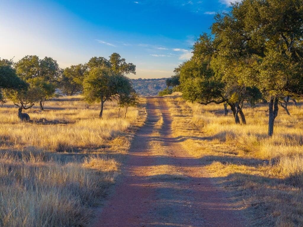 171.73 acres in Gillespie County - photo 10