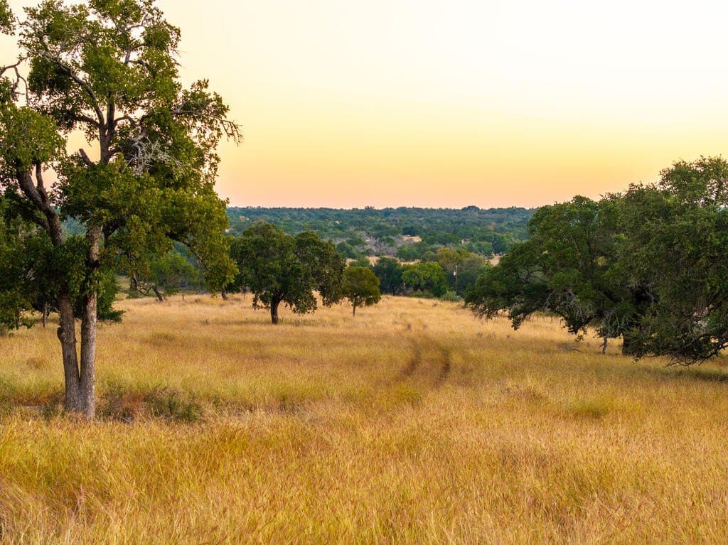 171.73 acres in Gillespie County - photo 4