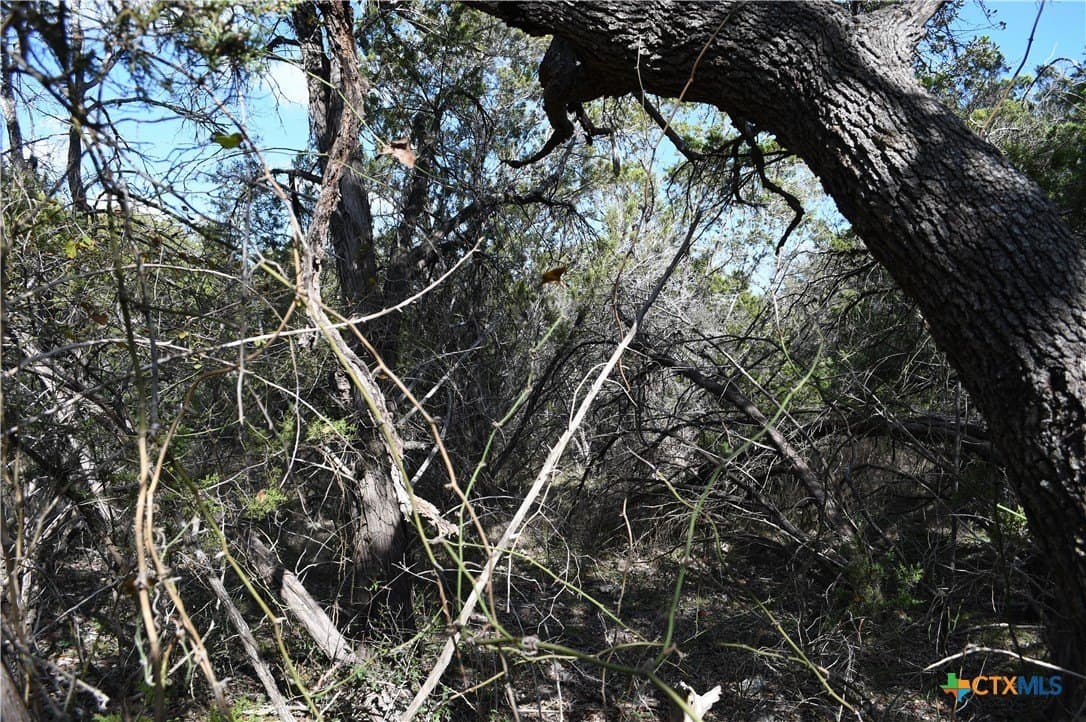 0.31 acres in Comal County - photo 7
