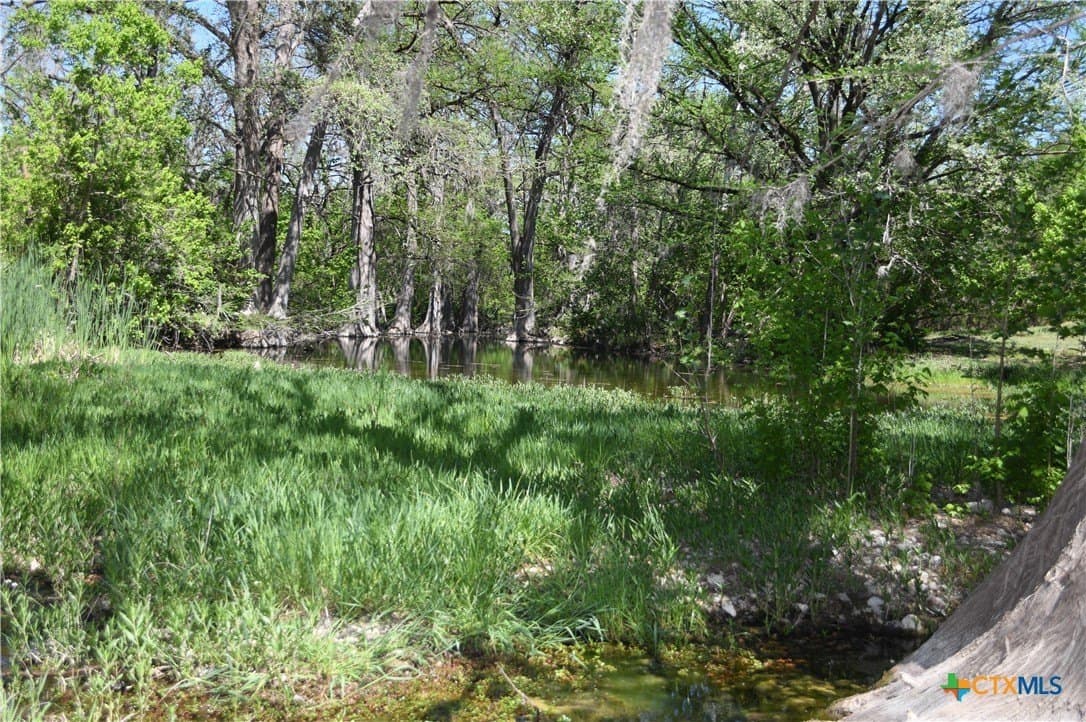 0.31 acres in Comal County - photo 19