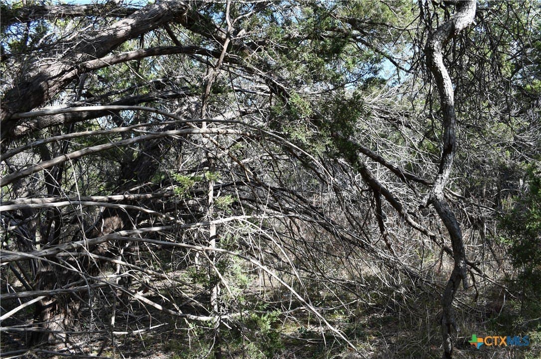 0.31 acres in Comal County - photo 6