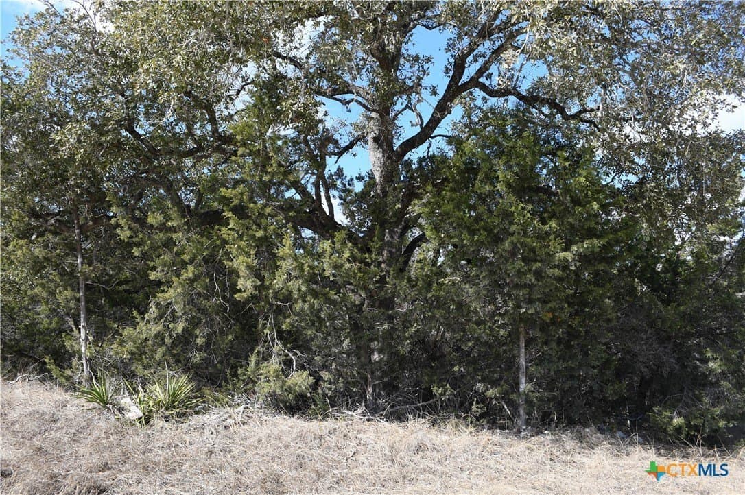0.31 acres in Comal County gallery image 3