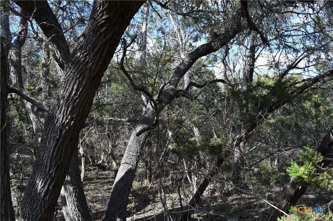 0.31 acres in Comal County featured view