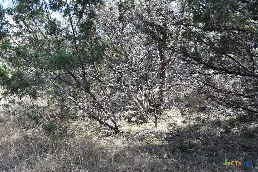 0.31 acres in Comal County - photo 13