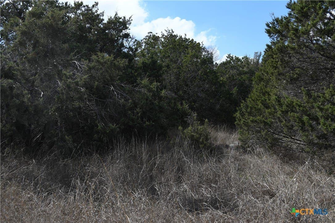 0.31 acres in Comal County