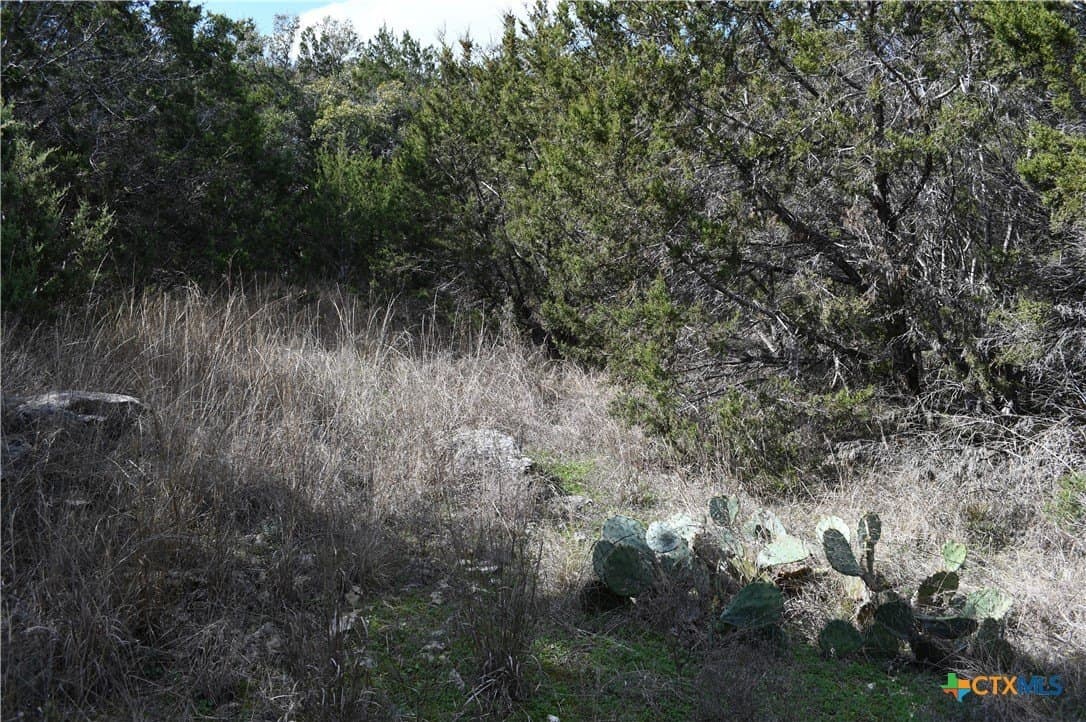 0.31 acres in Comal County - photo 17