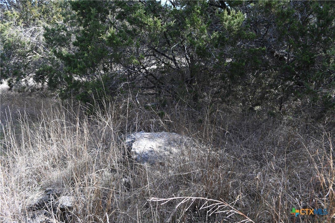 0.31 acres in Comal County - photo 15