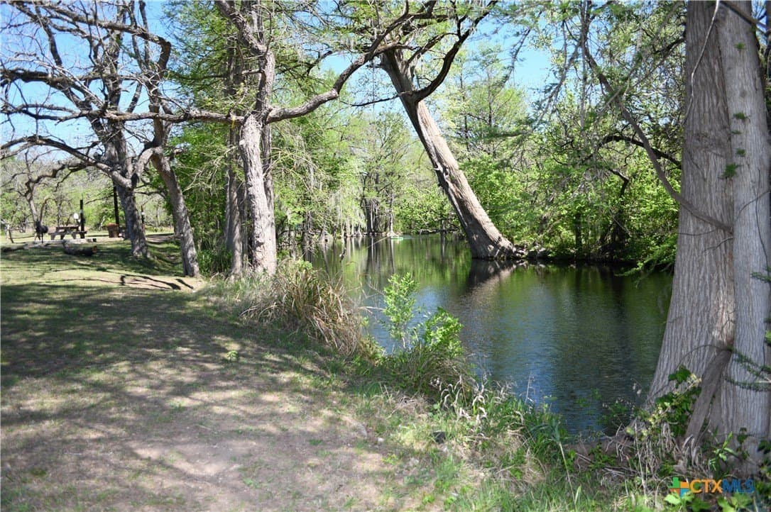 0.31 acres in Comal County - photo 29