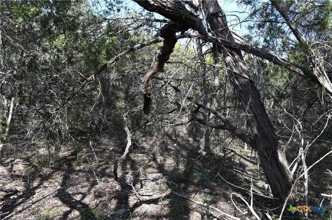 0.31 acres in Comal County - photo 8