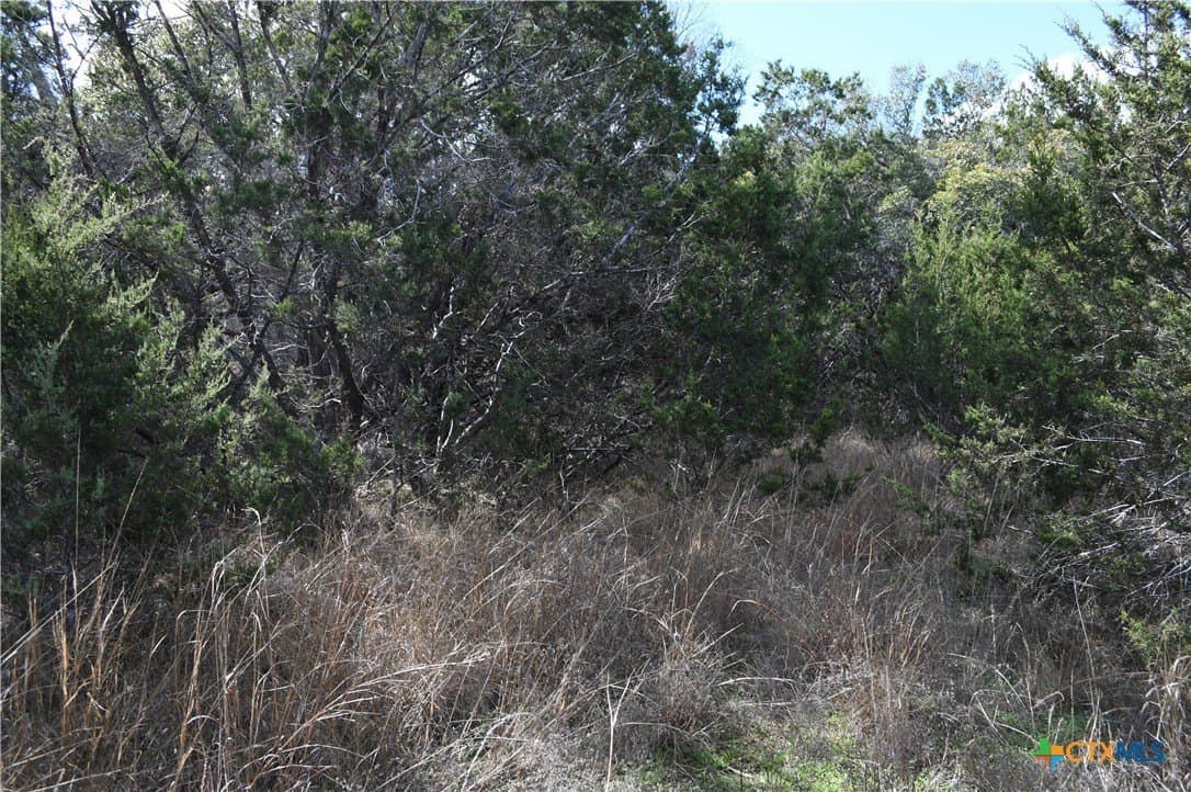 0.31 acres in Comal County - photo 16