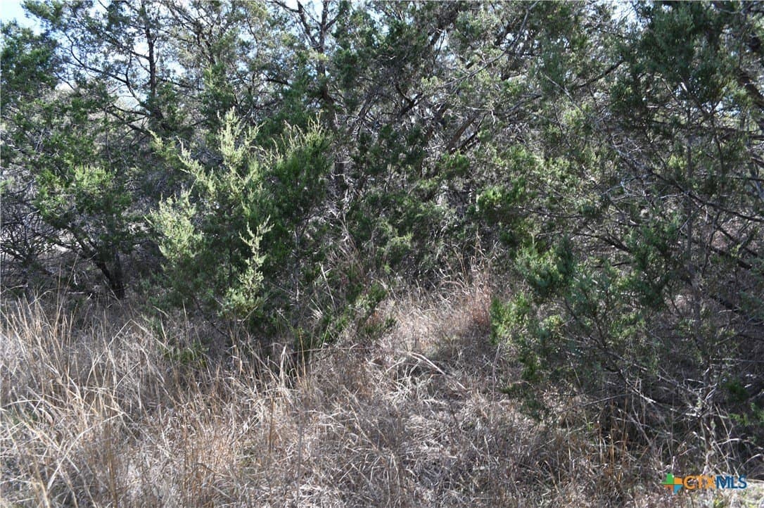0.31 acres in Comal County - photo 14