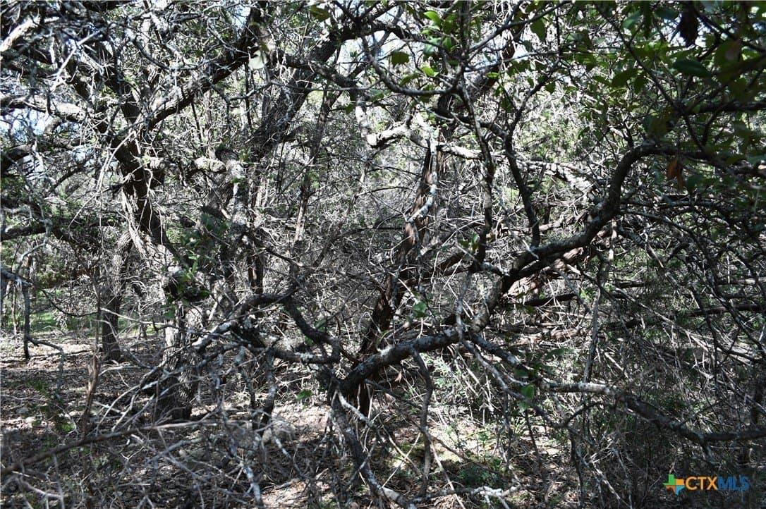 0.31 acres in Comal County - photo 9