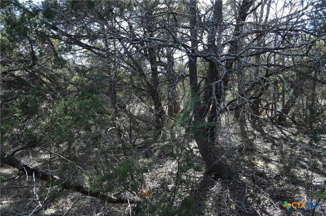 0.31 acres in Comal County - photo 12