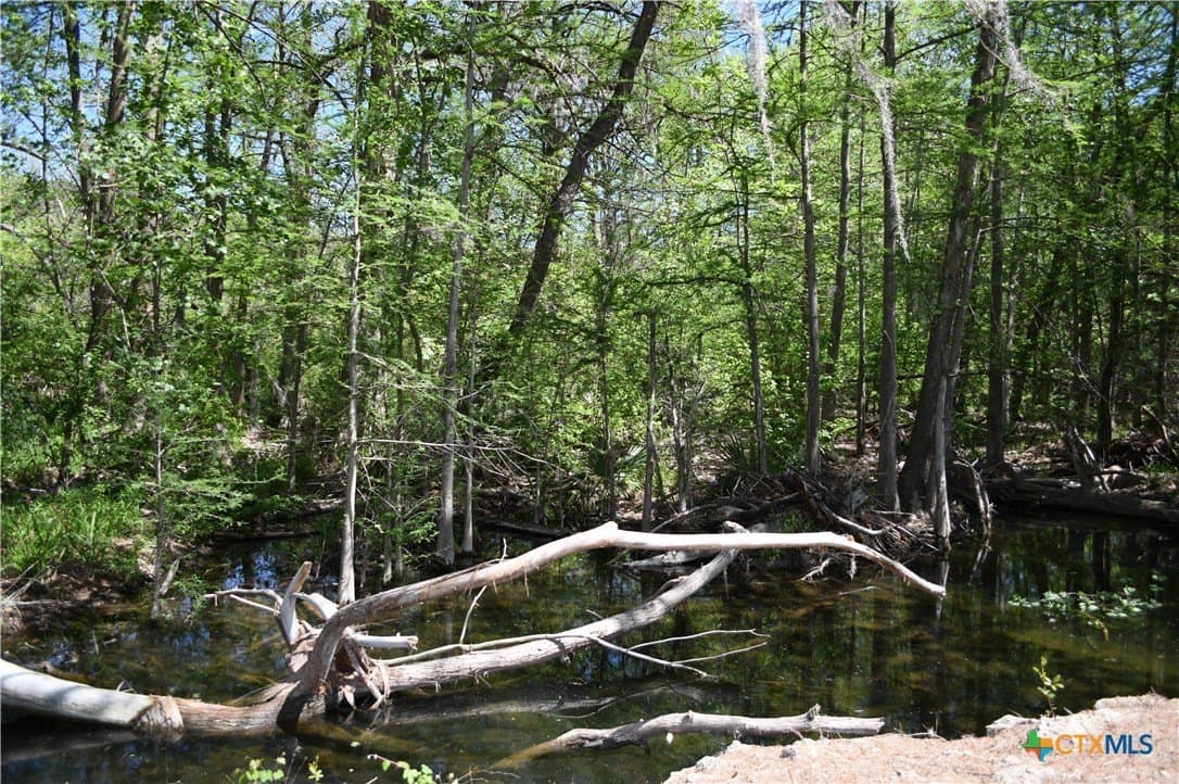 0.31 acres in Comal County - photo 32