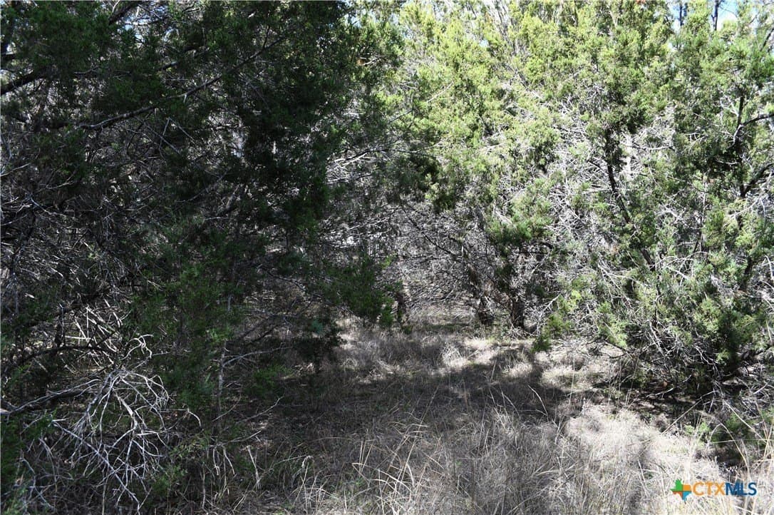 0.31 acres in Comal County - photo 10