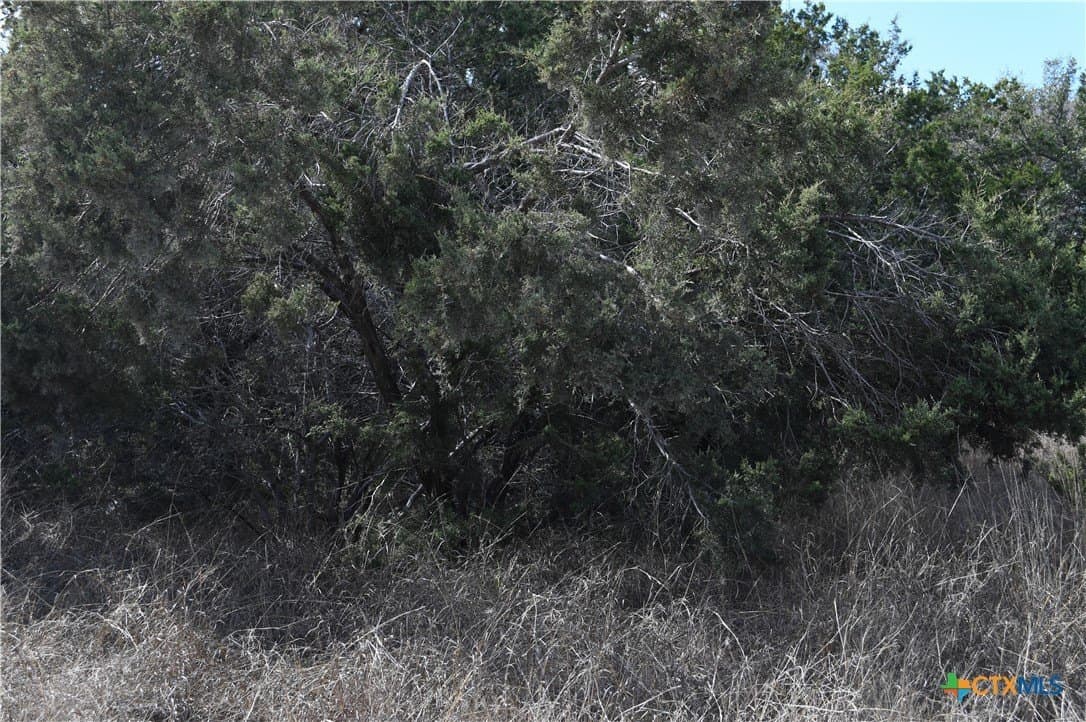 0.31 acres in Comal County - photo 18