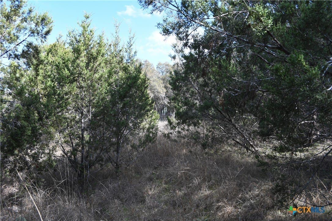 0.31 acres in Comal County - photo 11