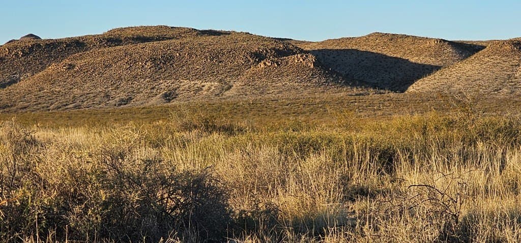 5 acres in Brewster County gallery image 2