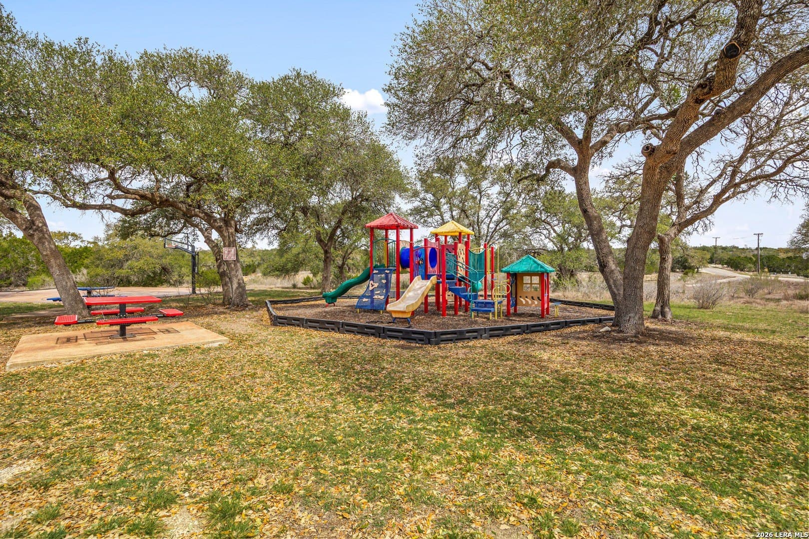 1.66 acres in Comal County gallery image 3