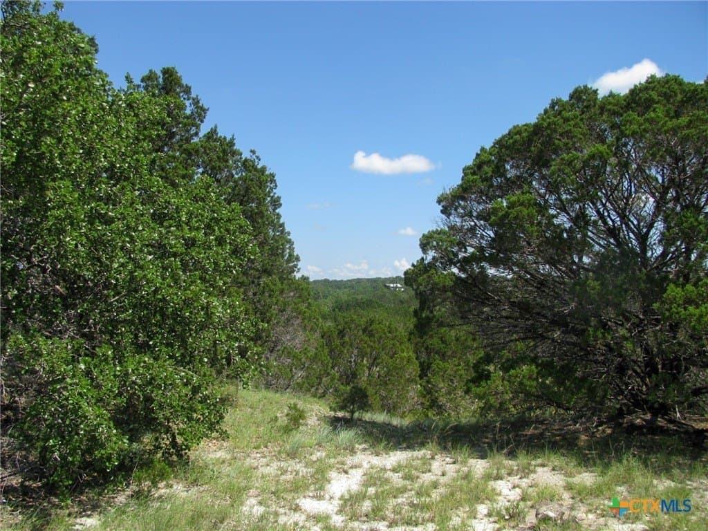 10.01 acres in Hamilton County gallery image 2