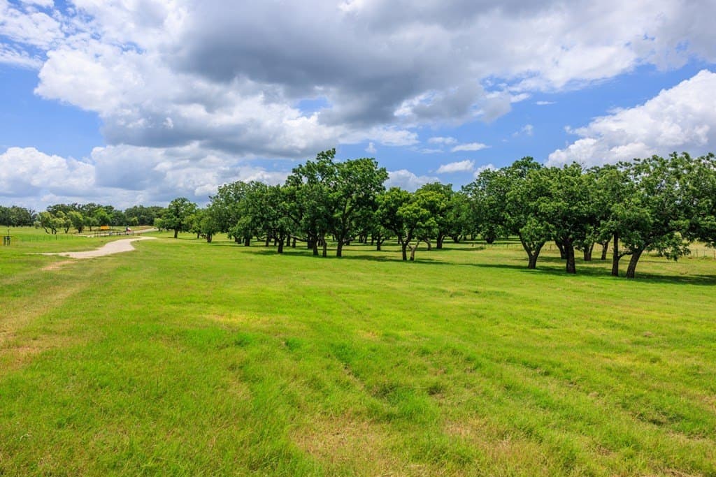 52.23 acres in Gillespie County - photo 79