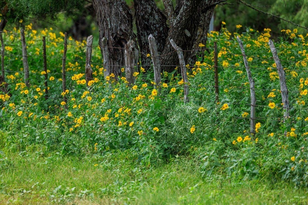 52.23 acres in Gillespie County - photo 65
