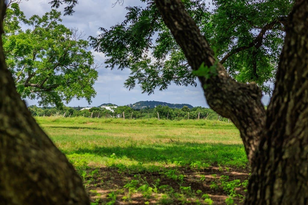 52.23 acres in Gillespie County - photo 56