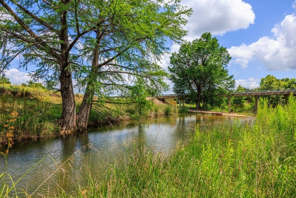 52.23 acres in Gillespie County - photo 16