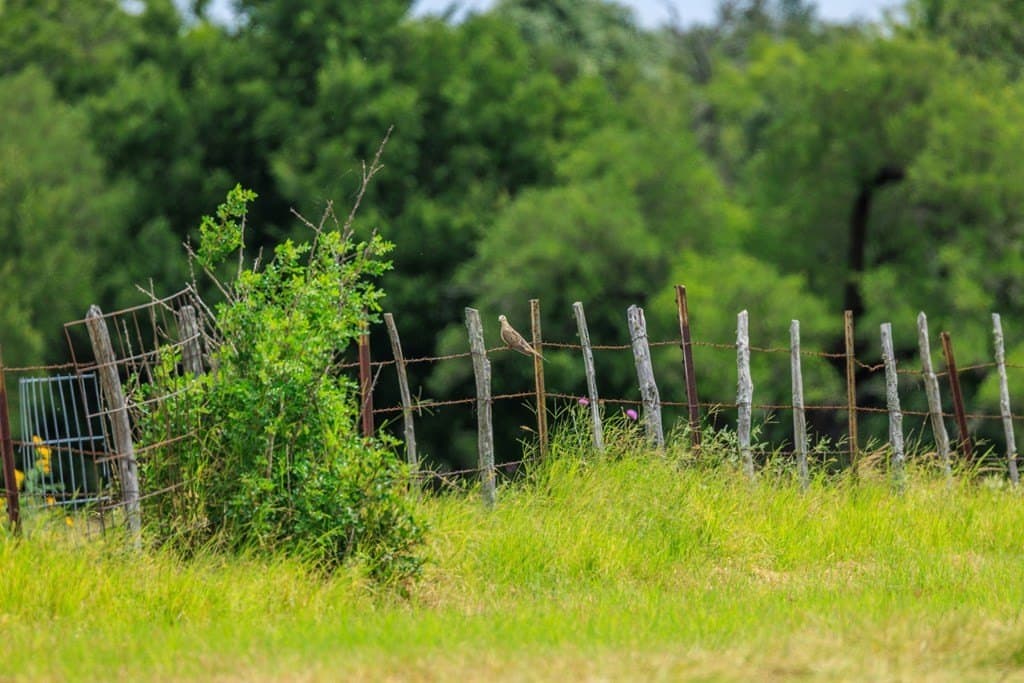 52.23 acres in Gillespie County - photo 51