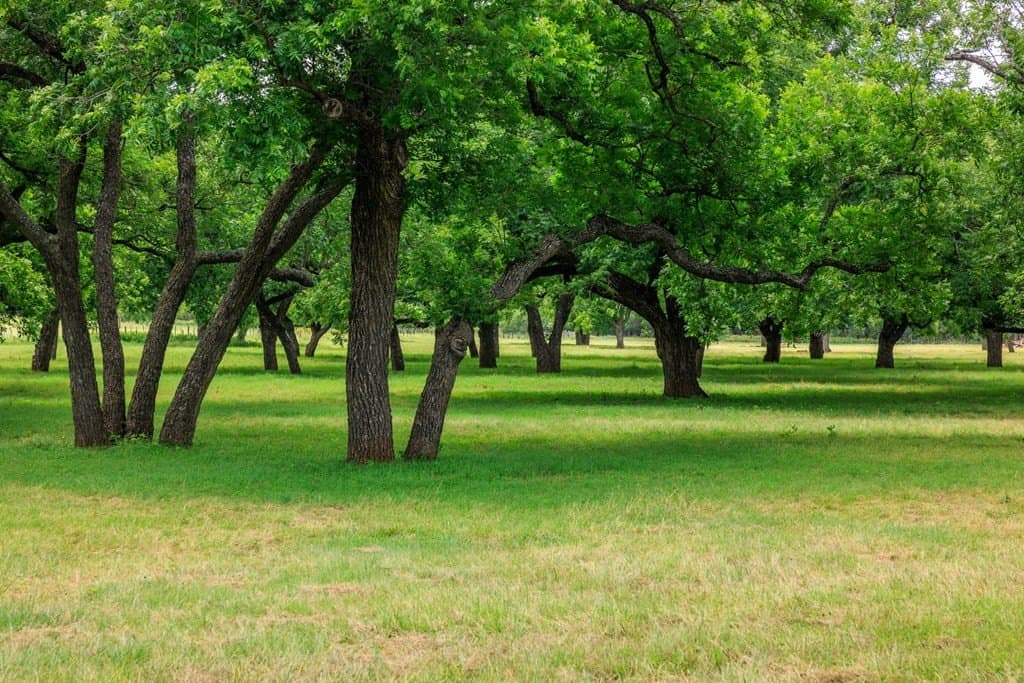 52.23 acres in Gillespie County - photo 61