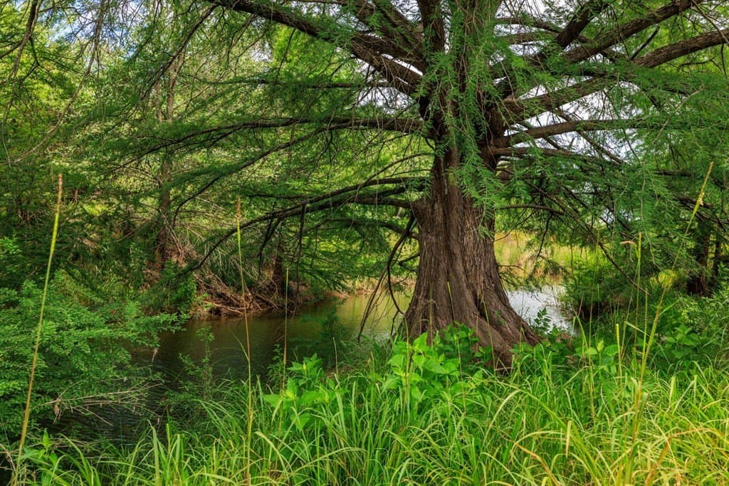 52.23 acres in Gillespie County - photo 67