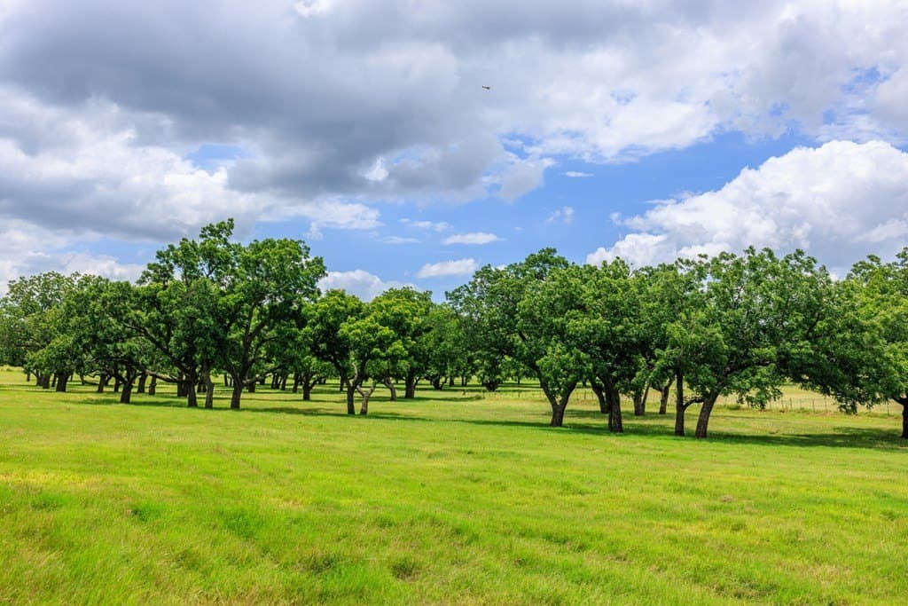 52.23 acres in Gillespie County - photo 78