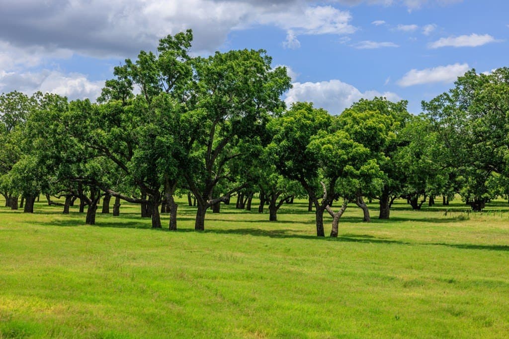 52.23 acres in Gillespie County - photo 53
