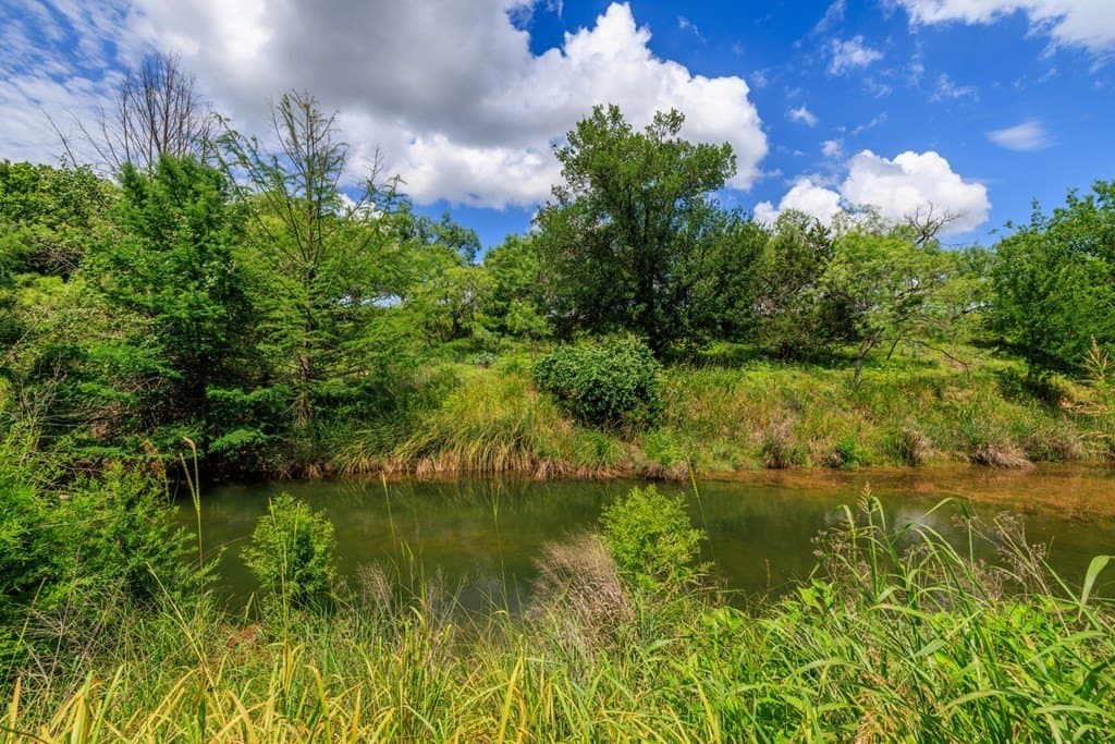 52.23 acres in Gillespie County - photo 20