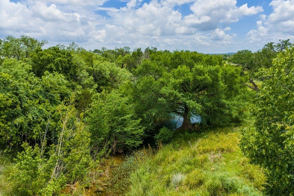 52.23 acres in Gillespie County - photo 68