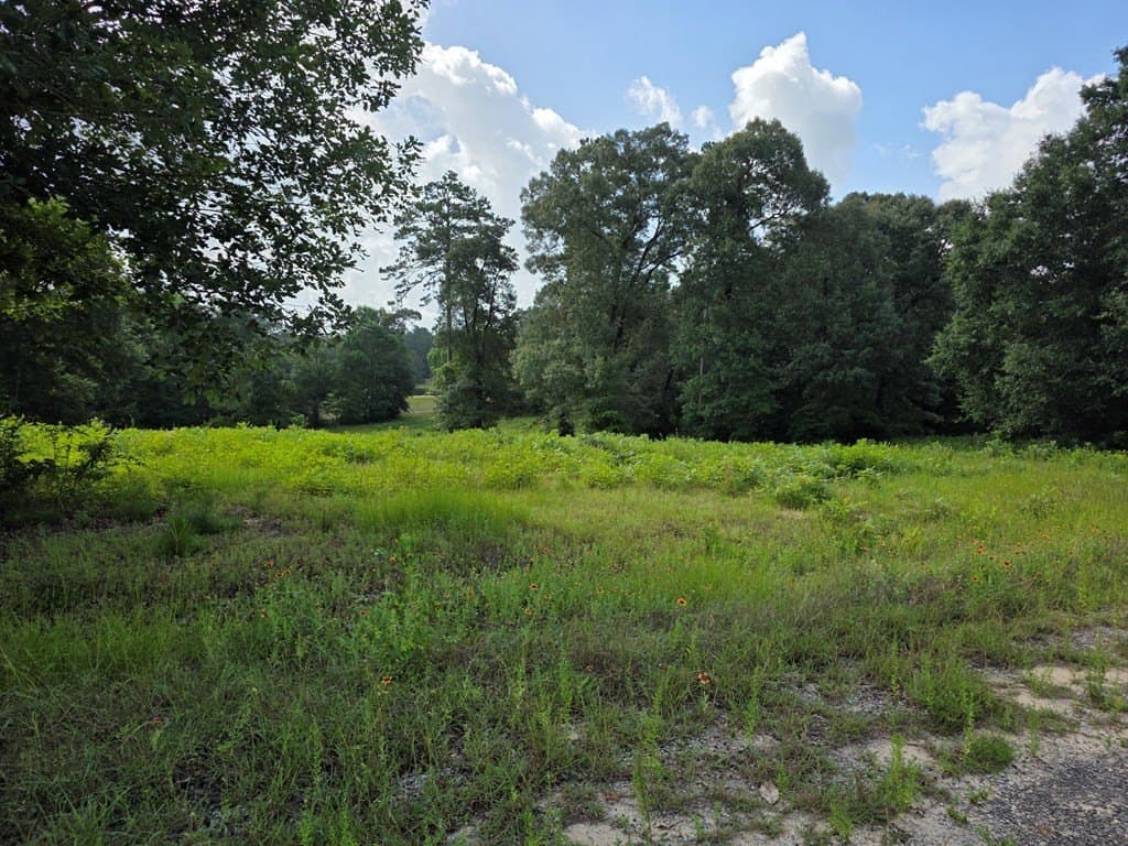 2.47 acres in Texas County - photo 9