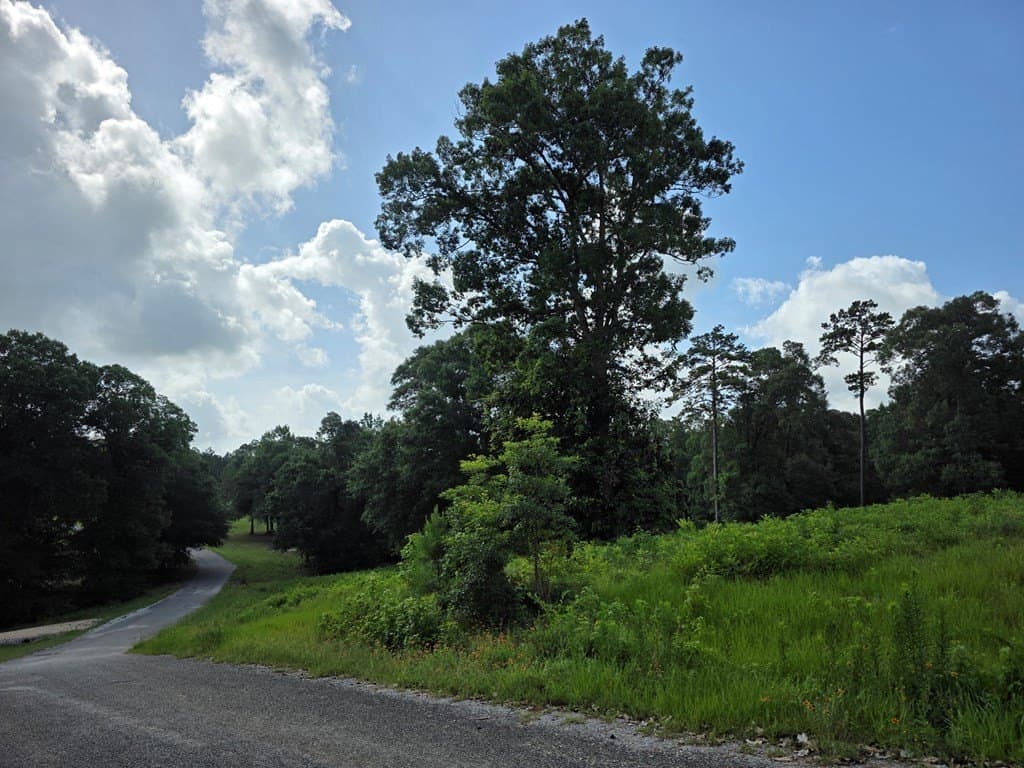 2.47 acres in Texas County - photo 10