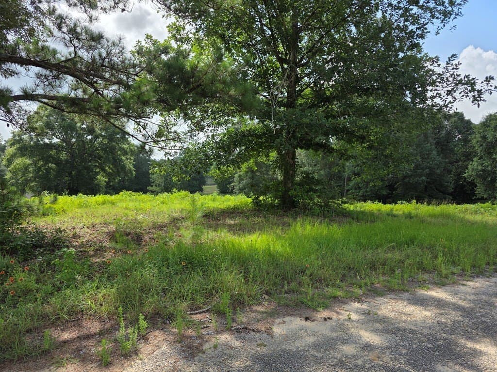 2.47 acres in Texas County - photo 8