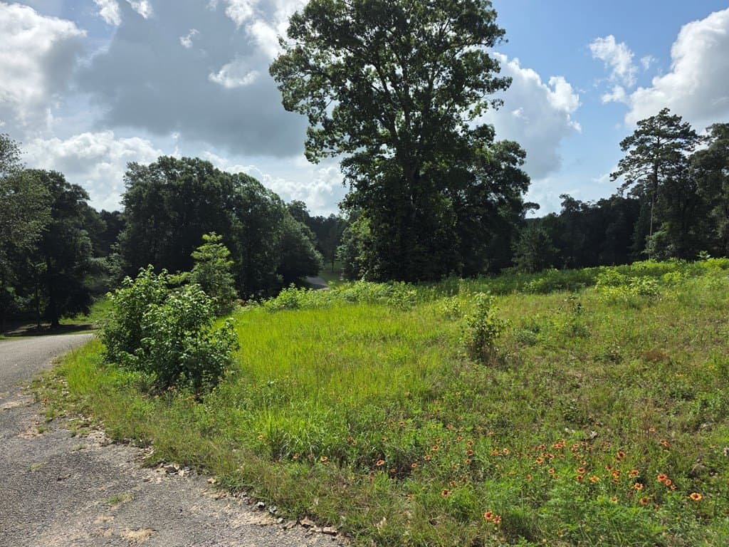 2.47 acres in Texas County - photo 7